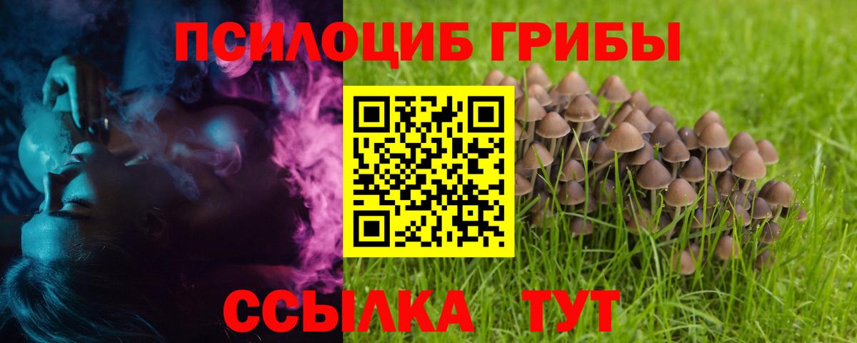 Псилоцибиновые грибы мицелий  Псилоцибиновые грибы мухоморы  Вход с VPN  Елец 